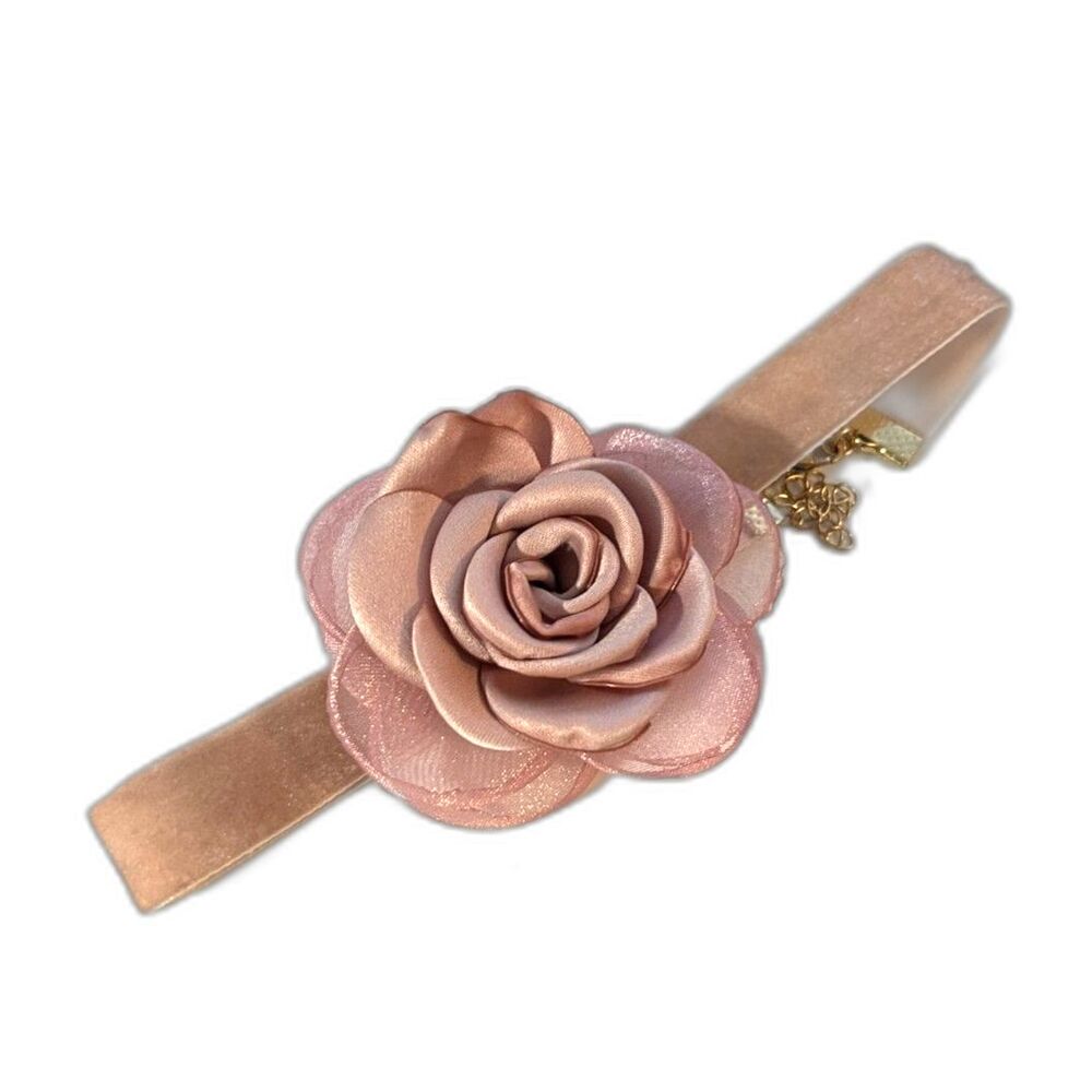 5/$25 Urban Outfitters Velvet Rosette Velvet Choker Necklace